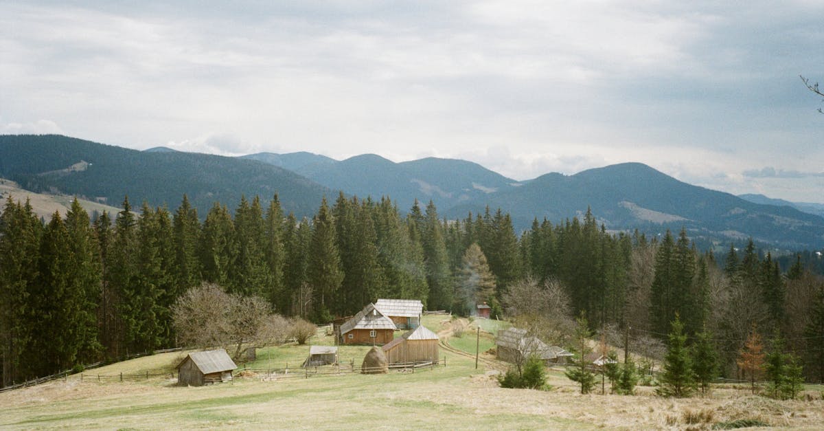 How do I know if my roof needs repair?