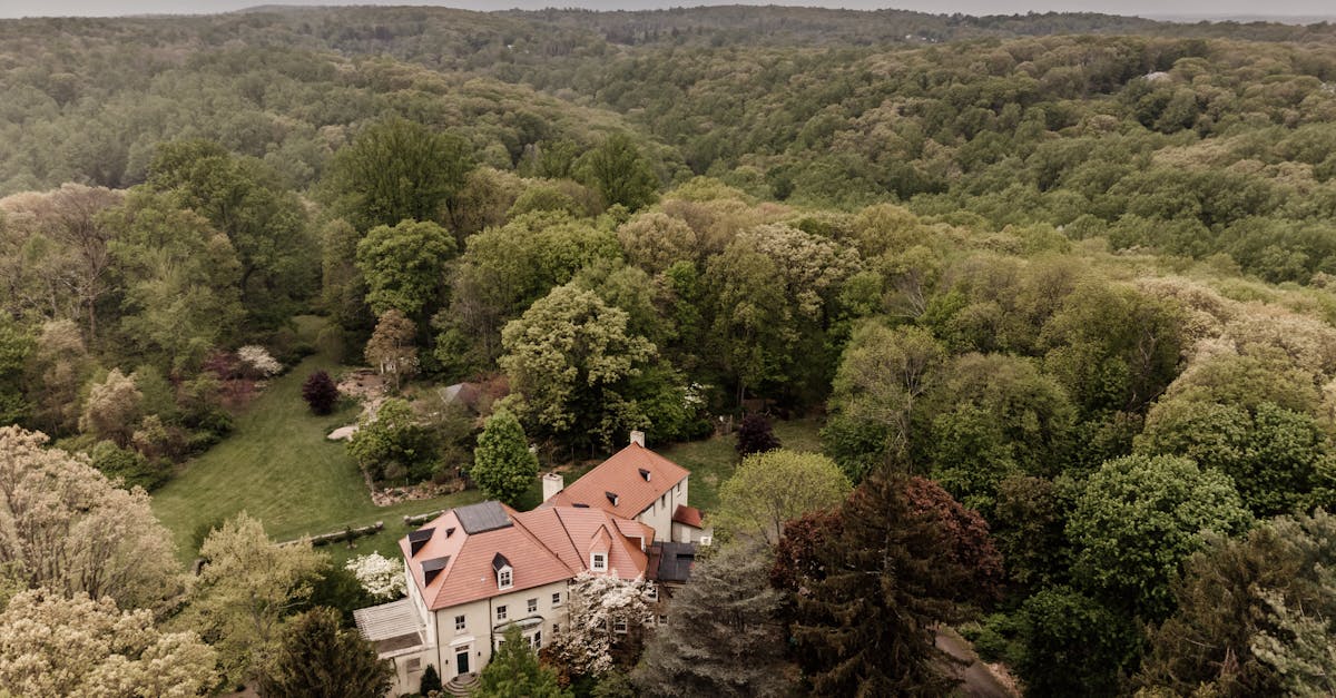 How Weather Affects Roof Repair in Brooksville: Tips for Homeowners