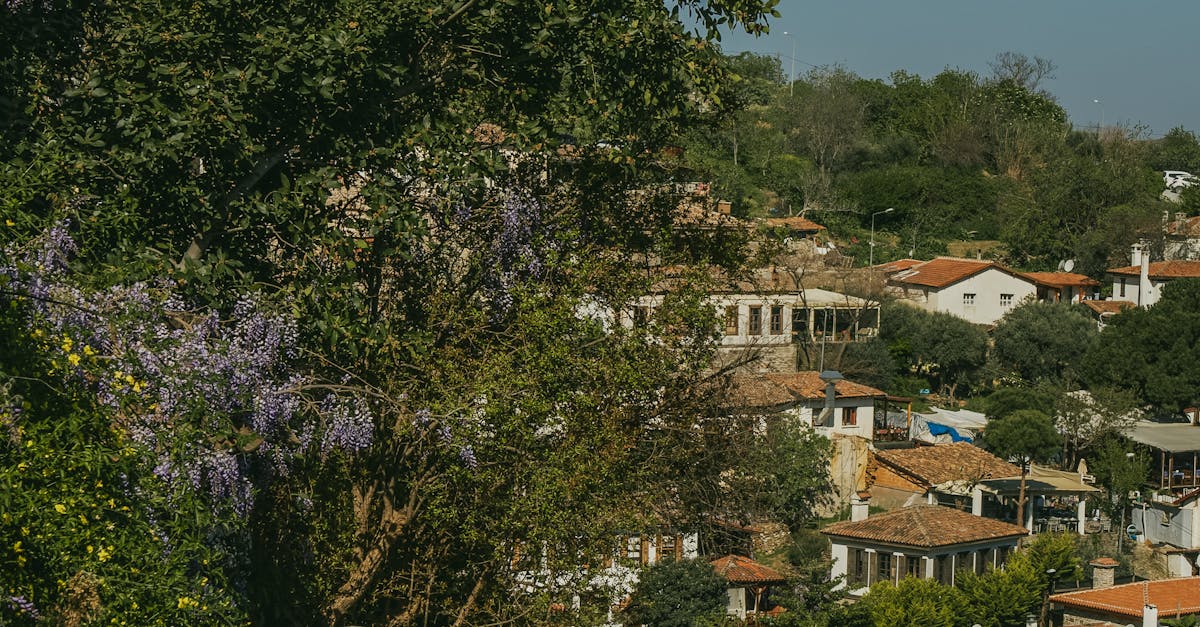 Review of the Best Tools for DIY Roof Repair in Brooksville