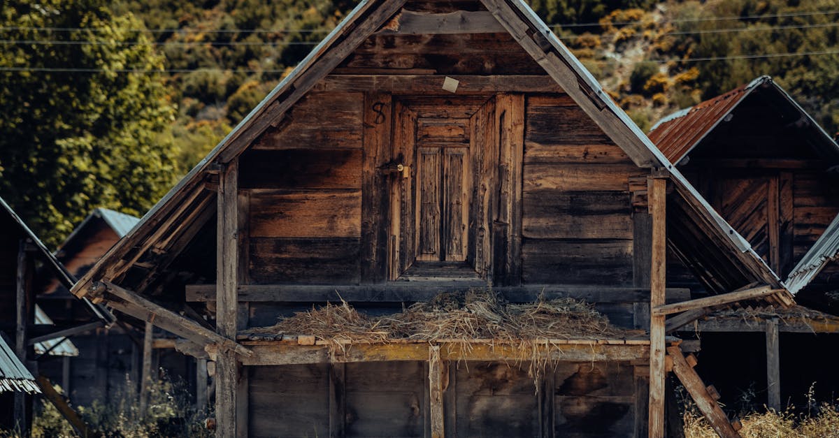 Roof Lifespan and When to Consider Roof Repair in Brooksville